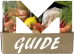 Matkasse.guide